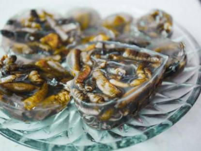 Ăn gì - Món thạch được làm từ loài động vật biển khiến du khách tá hoả