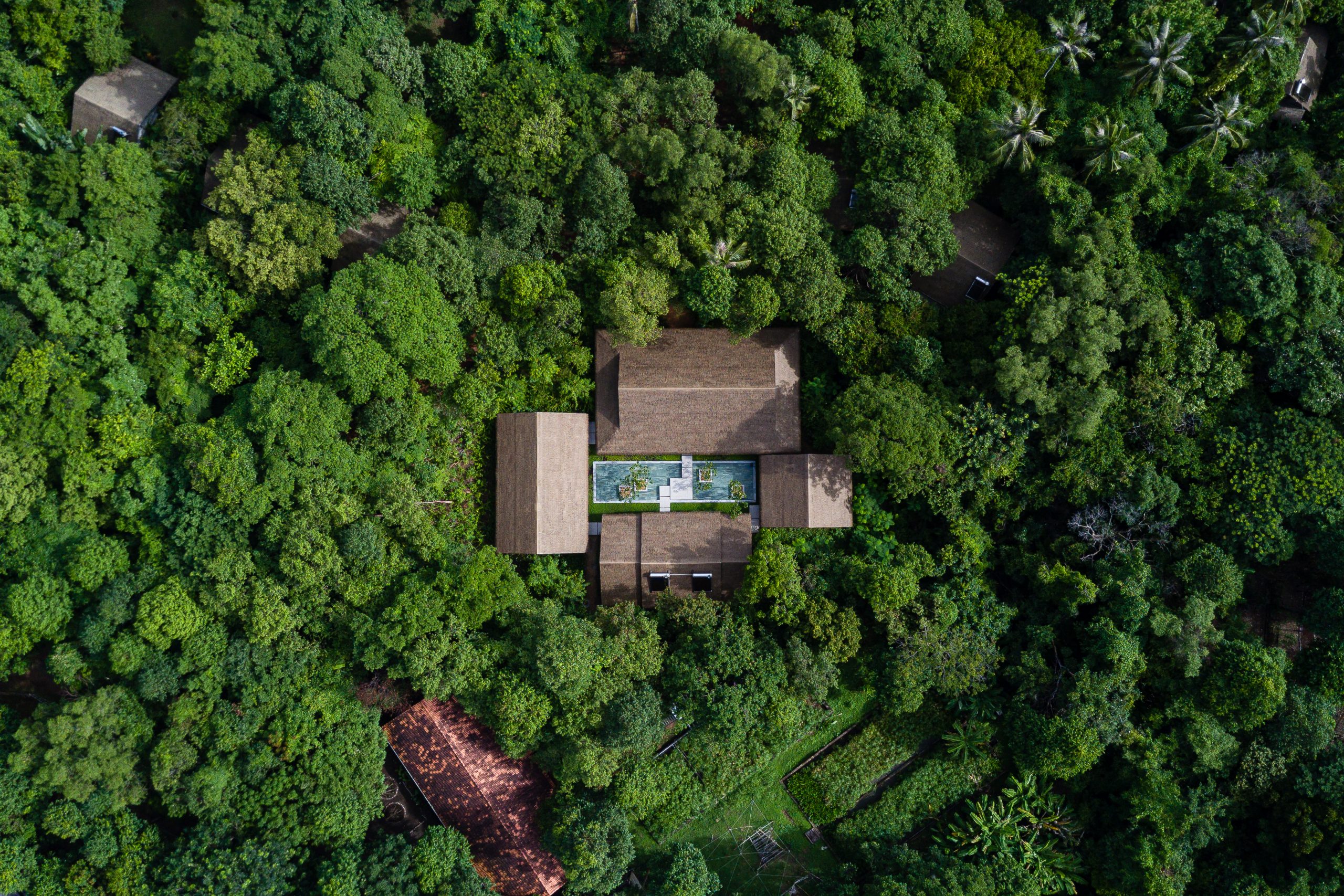 11 khách sạn trong rừng đẹp nhất thế giới, ấn tượng với cái tên đến từ Việt Nam - 5