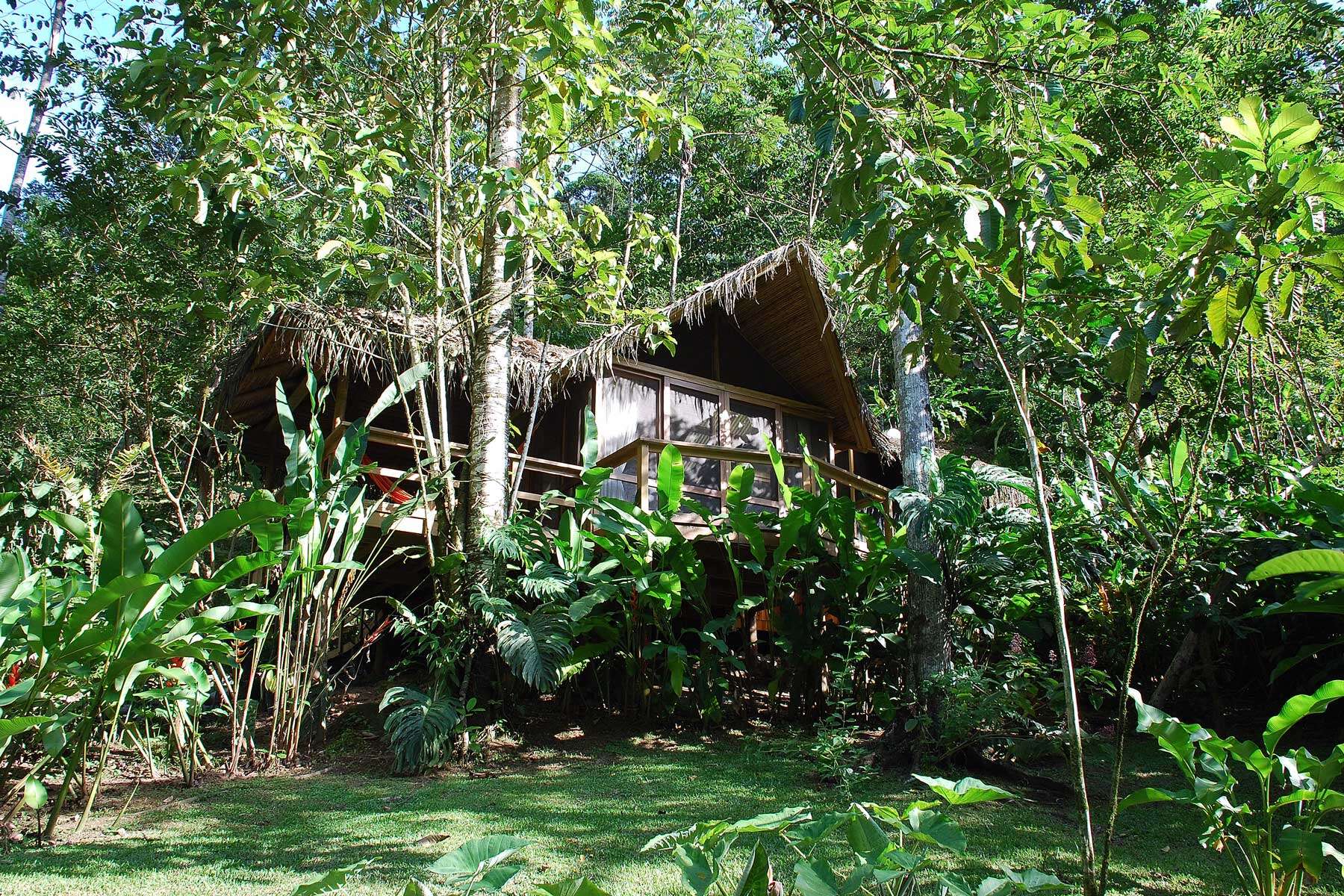 11 khách sạn trong rừng đẹp nhất thế giới, ấn tượng với cái tên đến từ Việt Nam - 7