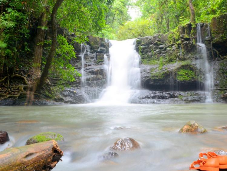 Đắm mình cùng thiên nhiên hoang sơ tại Vườn Quốc gia Bù Gia Mập