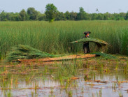 Nhiếp ảnh gia nghiệp dư bật mí về bức ảnh đoạt giải nhất quốc tế