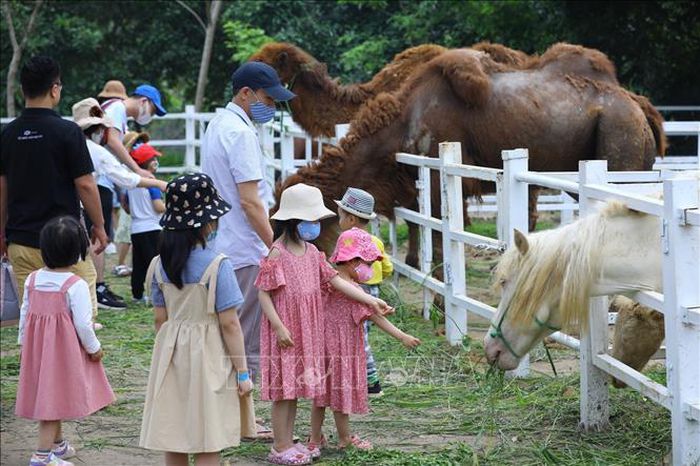 Nhiều gia đình chọn trải nghiệm nông trại vào dịp nghỉ lễ Giỗ Tổ - 5