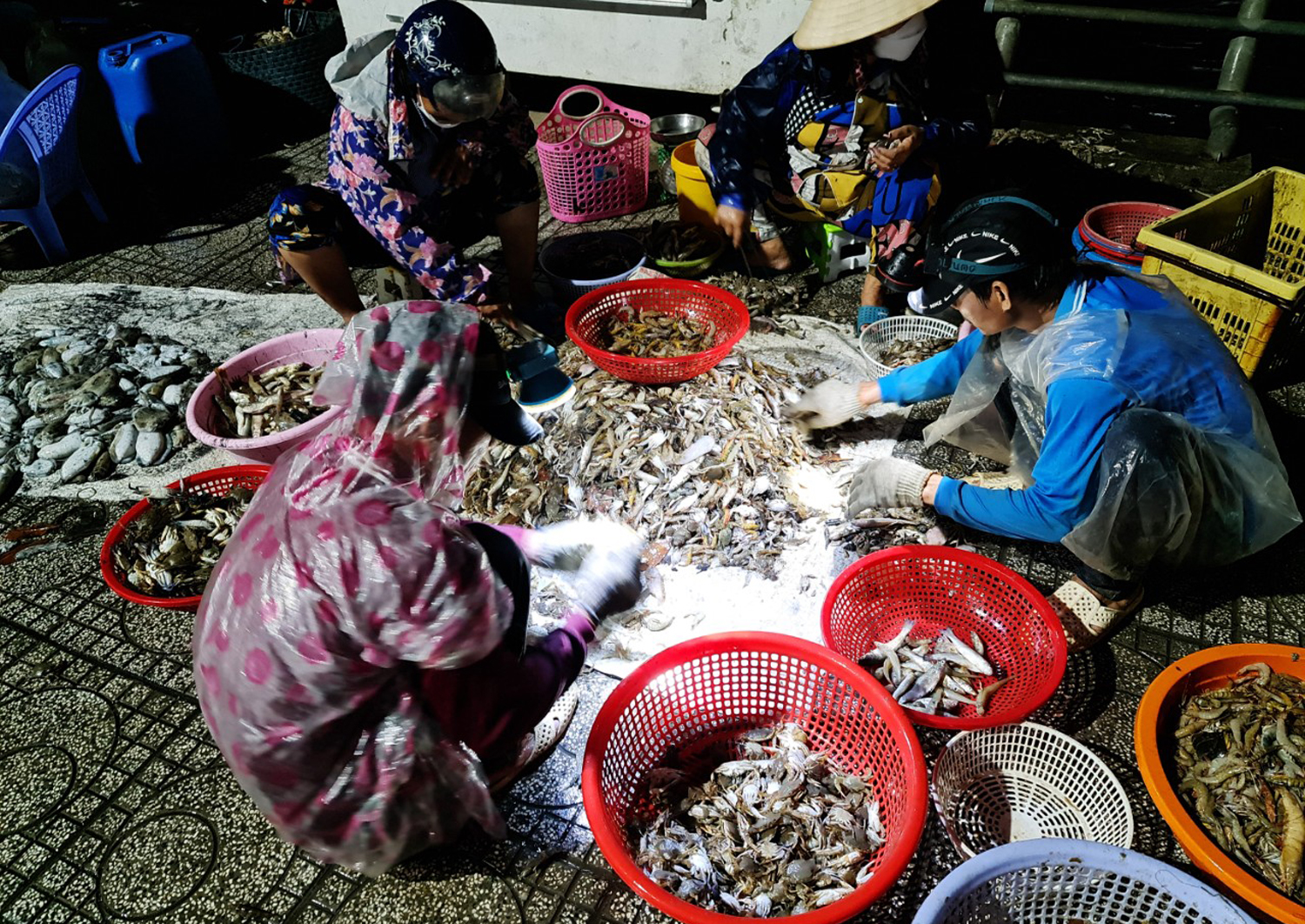 Du khách nườm nượp đến chợ Hà Tiên mua cá, mực lúc rạng sáng - 4
