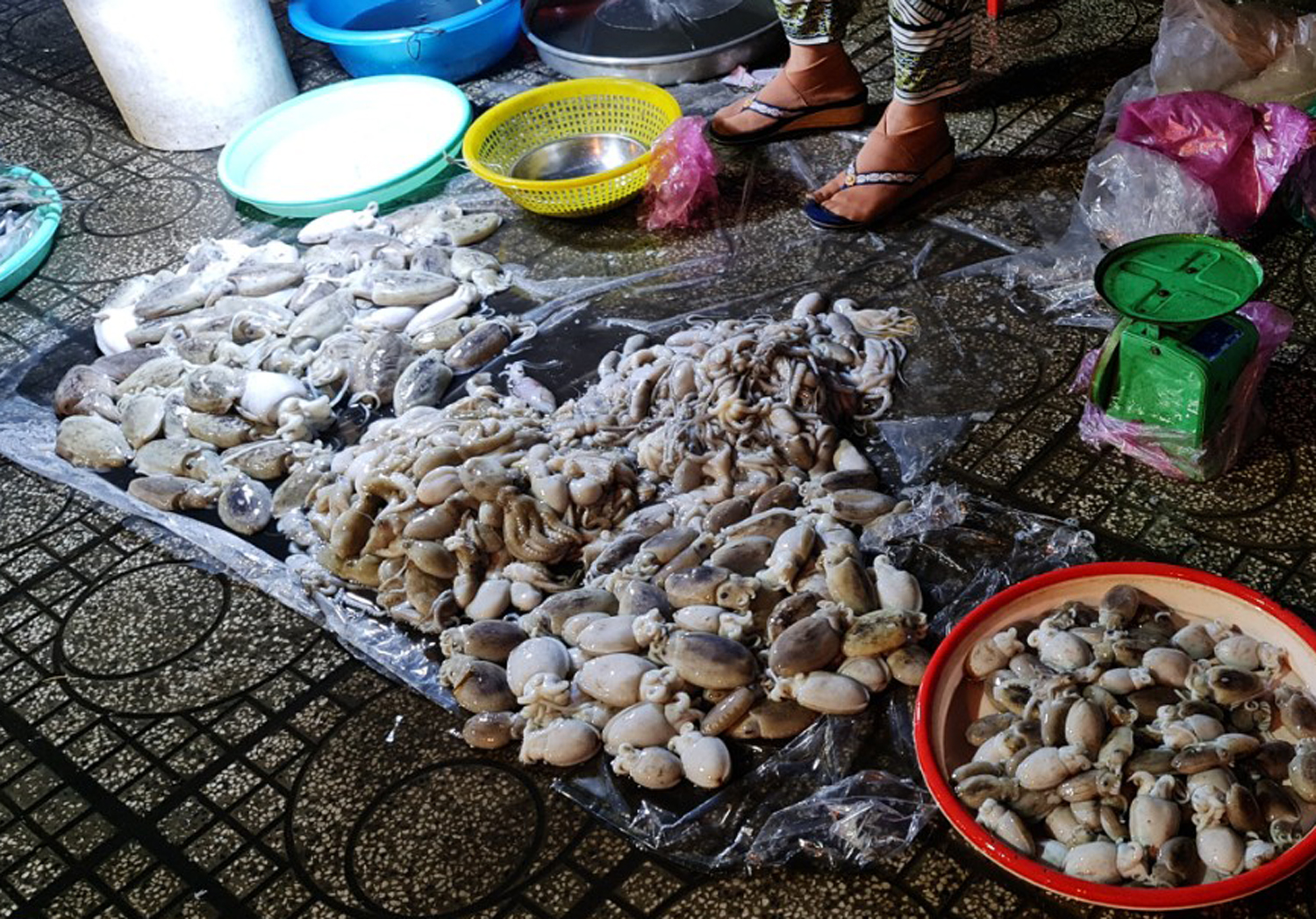 Du khách nườm nượp đến chợ Hà Tiên mua cá, mực lúc rạng sáng - 9