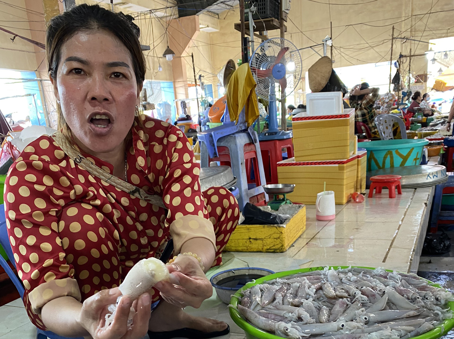 Du khách nườm nượp đến chợ Hà Tiên mua cá, mực lúc rạng sáng - 10