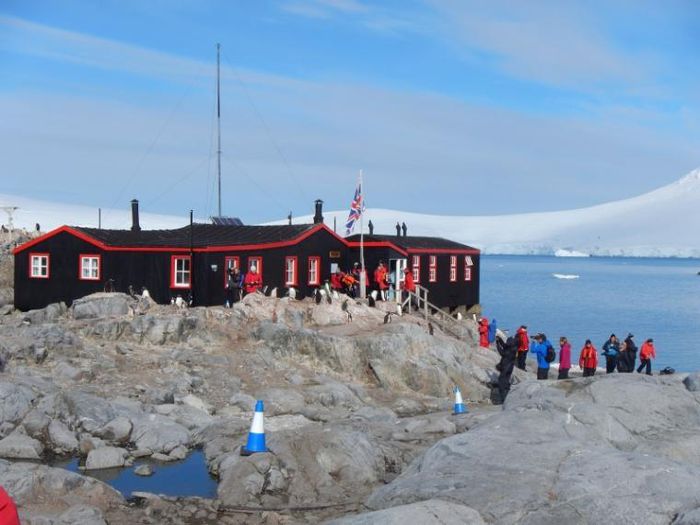 Bưu cục xa xôi nhất thế giới tuyển người đếm chim cánh cụt ở Nam Cực - 4