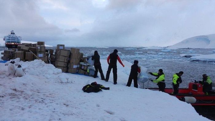 Bưu cục xa xôi nhất thế giới tuyển người đếm chim cánh cụt ở Nam Cực - 3