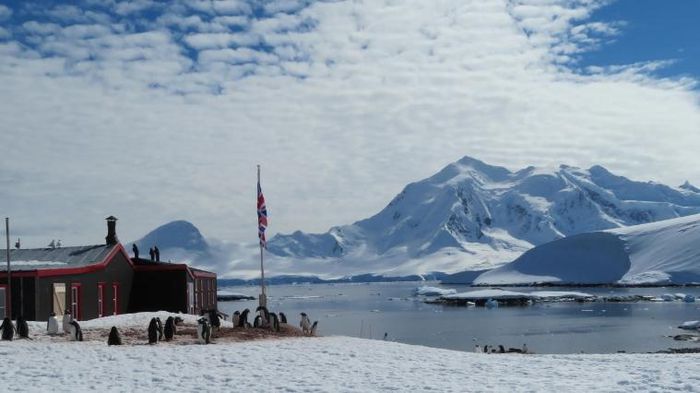 Bưu cục xa xôi nhất thế giới tuyển người đếm chim cánh cụt ở Nam Cực - 6