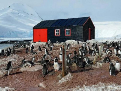 Du khảo - Bưu cục xa xôi nhất thế giới tuyển người đếm chim cánh cụt ở Nam Cực