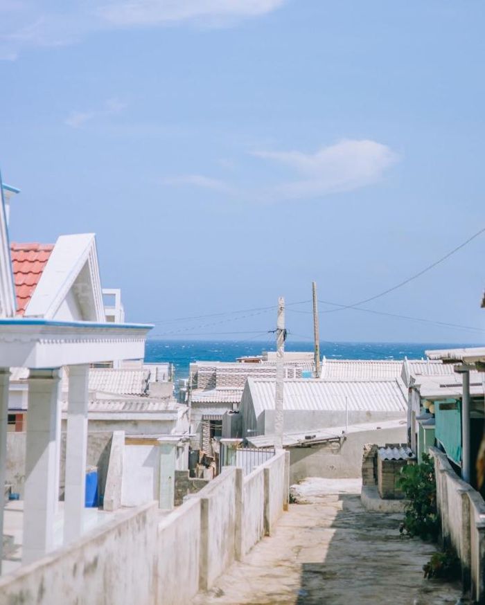 Ngôi làng ven biển thơ mộng hệt như truyện tranh ở đảo Phú Quý ít người biết - 7