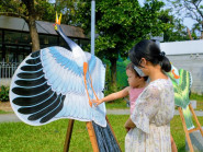 Mãn nhãn hàng chục con diều Huế khoe sắc bên bờ sông Hương