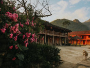 Lên Mèo Vạc, ở ngôi nhà sàn ngập hương tầm xuân