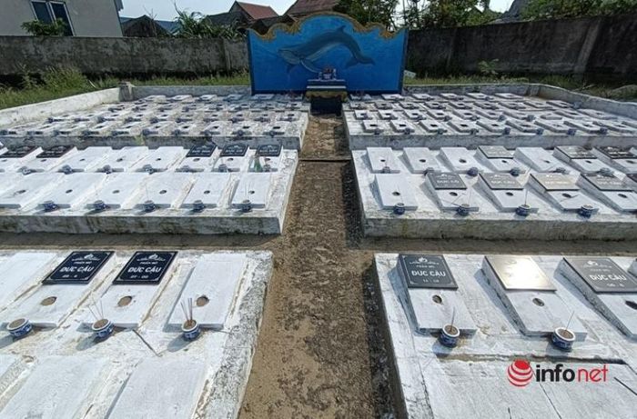 Tục chôn cất cá Ông, cá voi lớn hàng chục tấn được thờ cúng bí ẩn ở Hà Tĩnh - 4