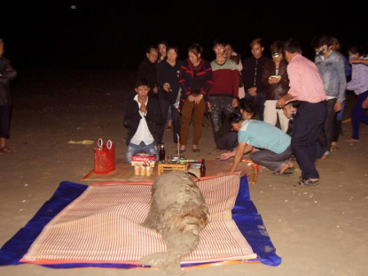 Lễ hội - Tục chôn cất cá Ông, cá voi lớn hàng chục tấn được thờ cúng bí ẩn ở Hà Tĩnh