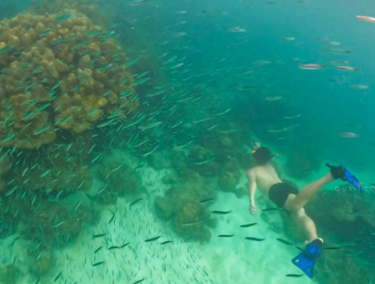 Du khảo - Lặn biển ngắm san hô ở Phuket đẹp đến không muốn lên bờ