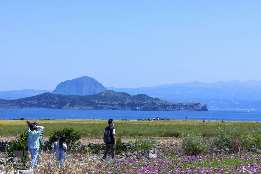 Ghé thăm hòn đảo độc đáo "không khí thải carbon” Gapado ở Jeju - 10