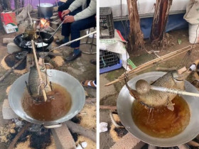 Món cá 'nằm võng' độc nhất vô nhị, kỳ công 10 tiếng mới ra lò ở Thái Bình