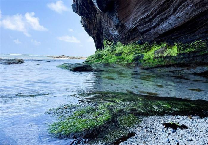 Rêu xanh trầm tích núi lửa ở đảo Lý Sơn - 5