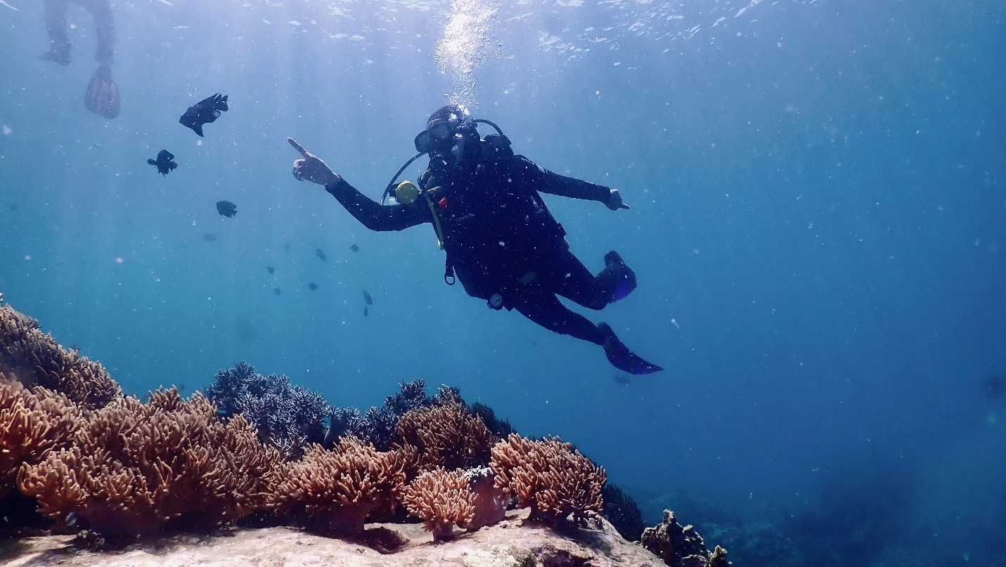 Đam mê lặn biển, cô gái 23 tuổi khám phá những điều thú vị nhất đại dương - 2