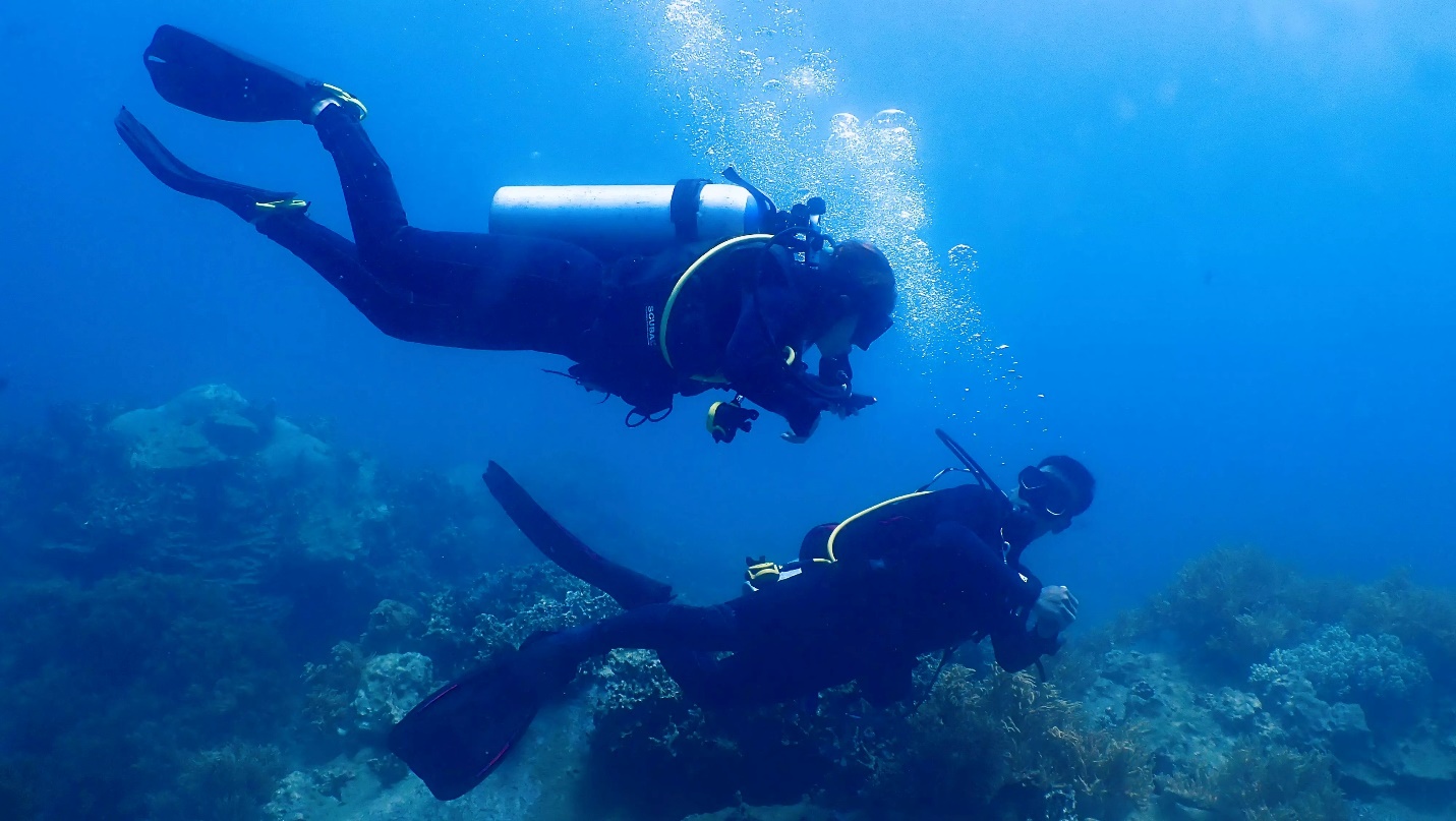 Đam mê lặn biển, cô gái 23 tuổi khám phá những điều thú vị nhất đại dương - 3