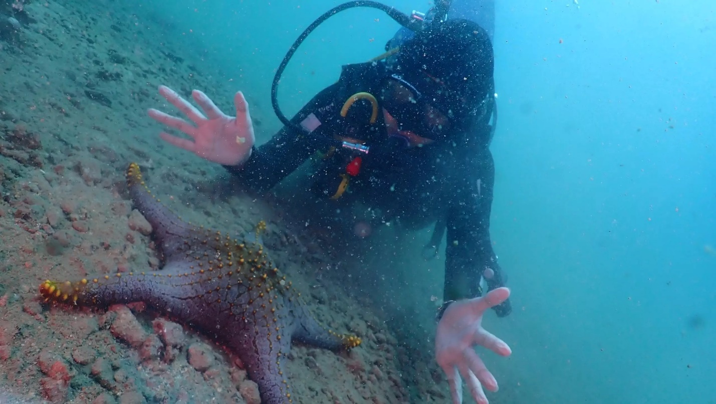 Đam mê lặn biển, cô gái 23 tuổi khám phá những điều thú vị nhất đại dương - 5