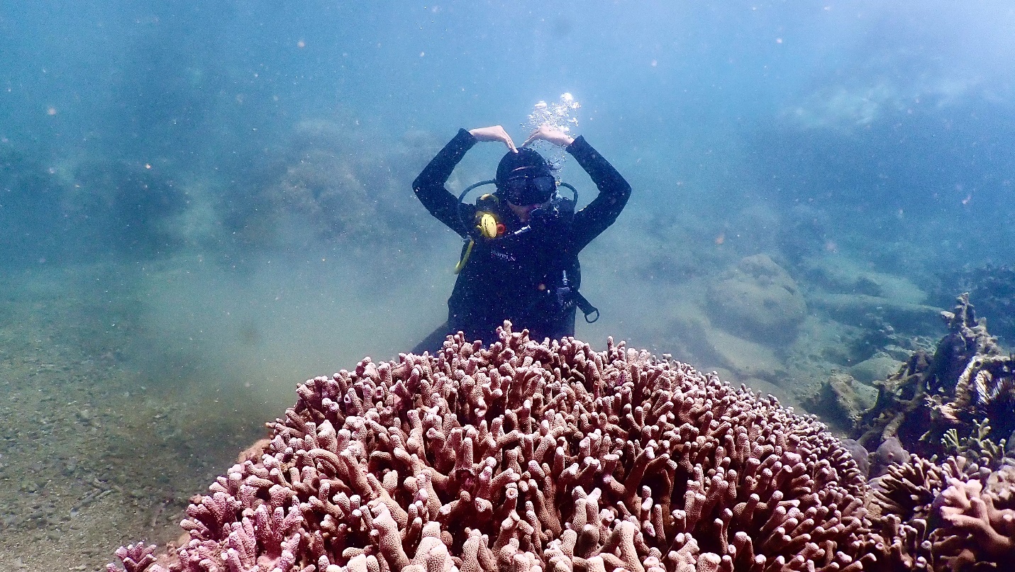 Đam mê lặn biển, cô gái 23 tuổi khám phá những điều thú vị nhất đại dương - 10