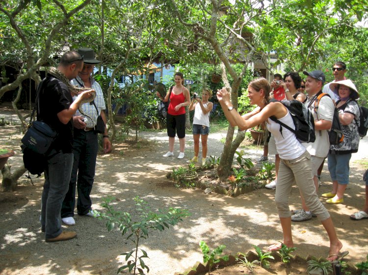 Xứ dừa Bến Tre hút khách nhờ nhiều tuyến điểm du lịch sinh thái - 2