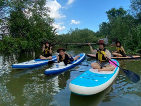  - Các trải nghiệm trên sông ở TP HCM