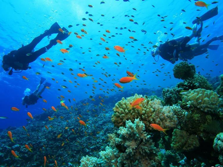 Vui chơi quên lối về ở thành phố biển Nha Trang