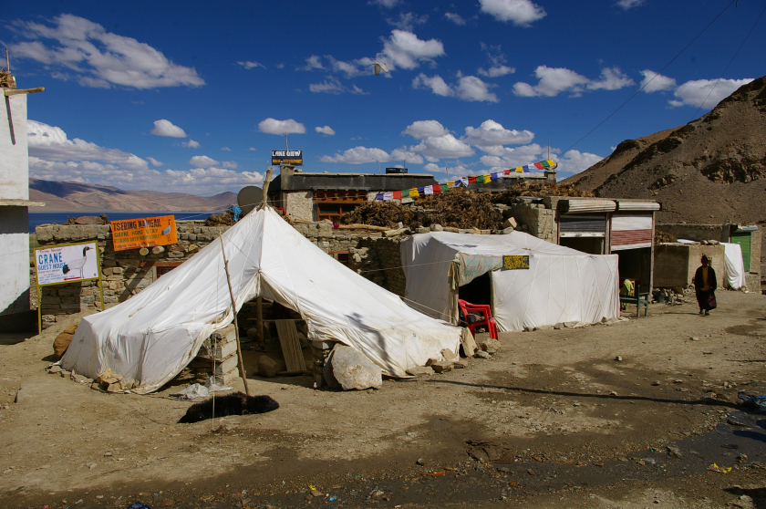 Làng Korzok - thiên đường tự do ở Ladakh - 5