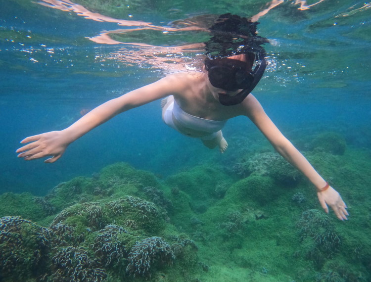 Chèo SUP, lặn biển ngắm san hô ở đảo Phú Quý
