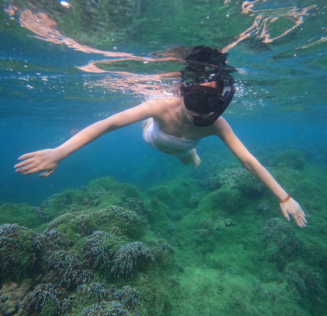 Chèo SUP, lặn biển ngắm san hô ở đảo Phú Quý - 13
