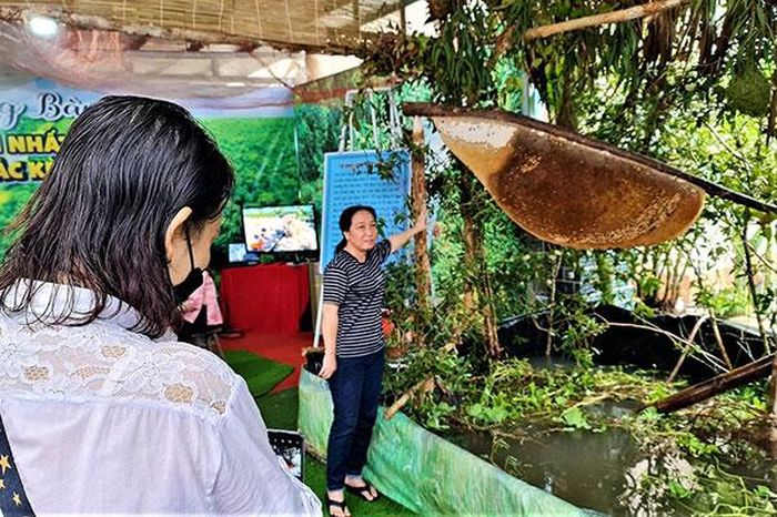 Thú vị nghề 'ăn ong' ở đất rừng U Minh Hạ - 5