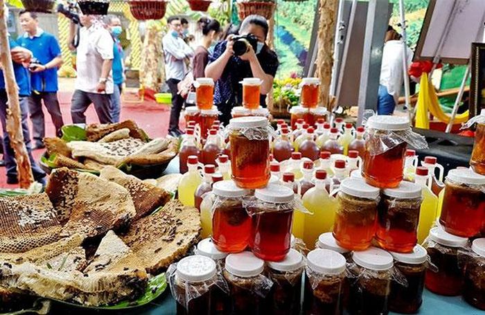 Thú vị nghề 'ăn ong' ở đất rừng U Minh Hạ - 4