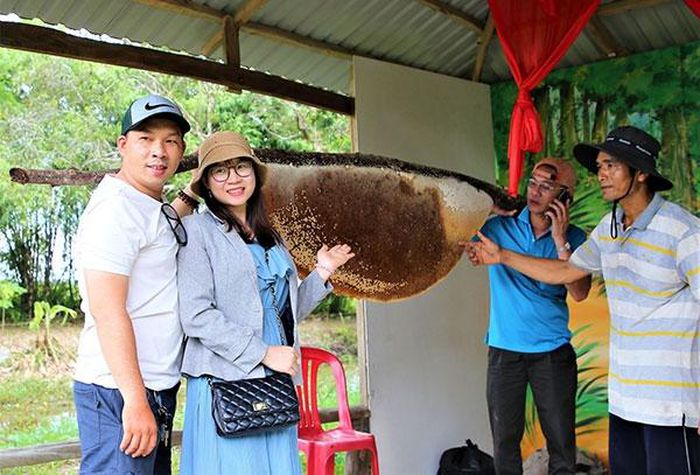 Thú vị nghề 'ăn ong' ở đất rừng U Minh Hạ - 6