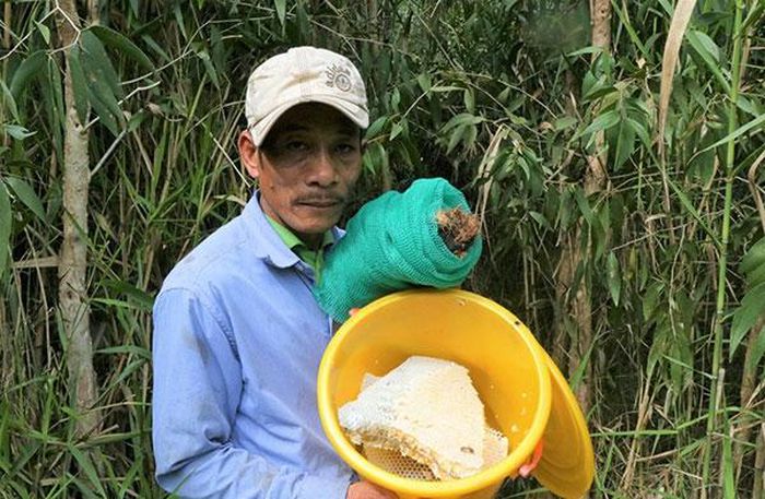 Thú vị nghề 'ăn ong' ở đất rừng U Minh Hạ - 3