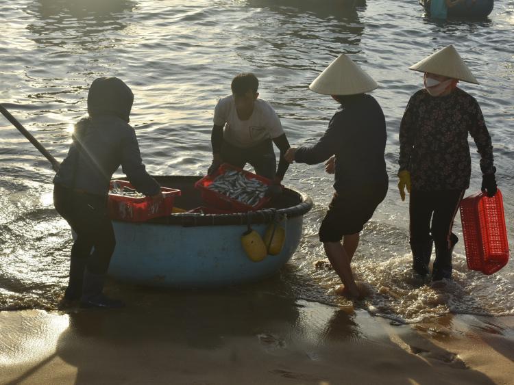 Huyên náo chợ cá bình minh trên bãi biển Quảng Bình