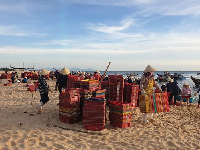 Huyên náo chợ cá bình minh trên bãi biển Quảng Bình - 2