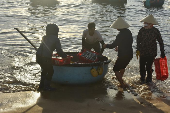 Huyên náo chợ cá bình minh trên bãi biển Quảng Bình - 8