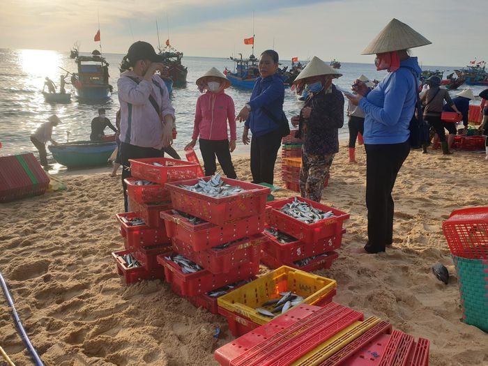 Huyên náo chợ cá bình minh trên bãi biển Quảng Bình - 9