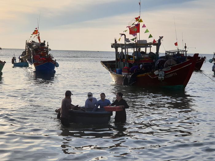 Huyên náo chợ cá bình minh trên bãi biển Quảng Bình - 5