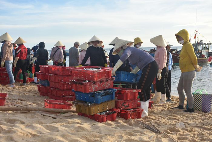Huyên náo chợ cá bình minh trên bãi biển Quảng Bình - 10