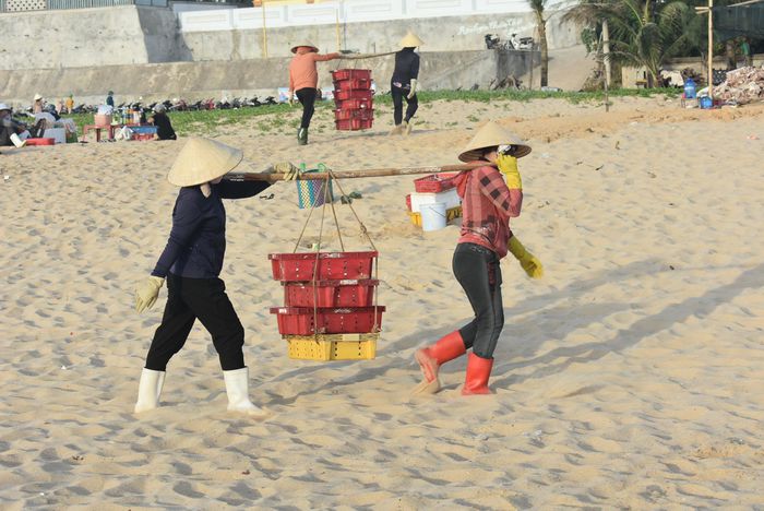 Huyên náo chợ cá bình minh trên bãi biển Quảng Bình - 12