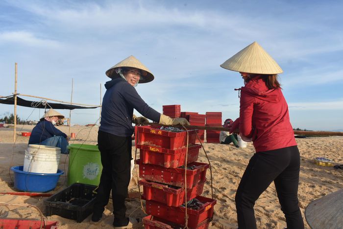 Huyên náo chợ cá bình minh trên bãi biển Quảng Bình - 11