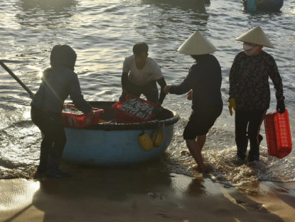 Du khảo - Huyên náo chợ cá bình minh trên bãi biển Quảng Bình