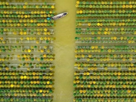 Đẩy mạnh chuyển đổi số gắn với sản phẩm du lịch đặc thù