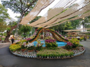 Festival Hoa lan TP.HCM 2023: Điểm đến hấp dẫn cho du khách dịp lễ