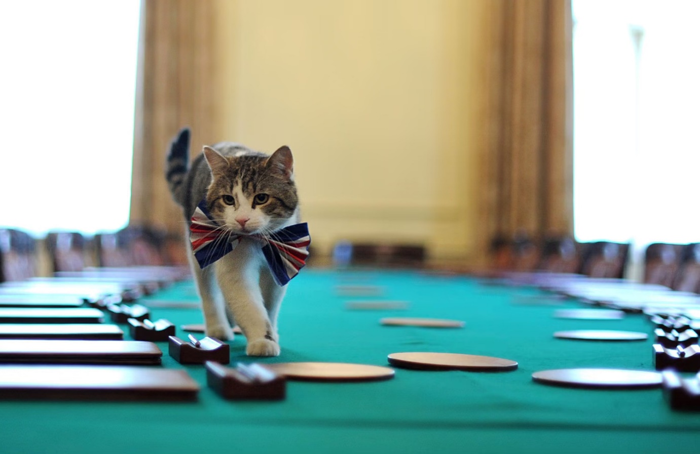 12 năm vương giả của con mèo quyền lực nhất dinh thủ tướng Anh - 1