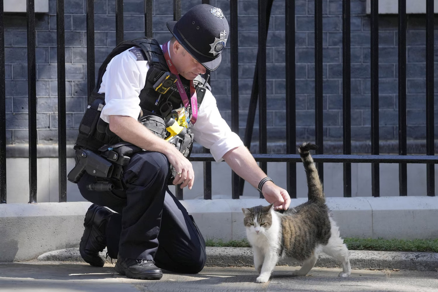 12 năm vương giả của con mèo quyền lực nhất dinh thủ tướng Anh - 8