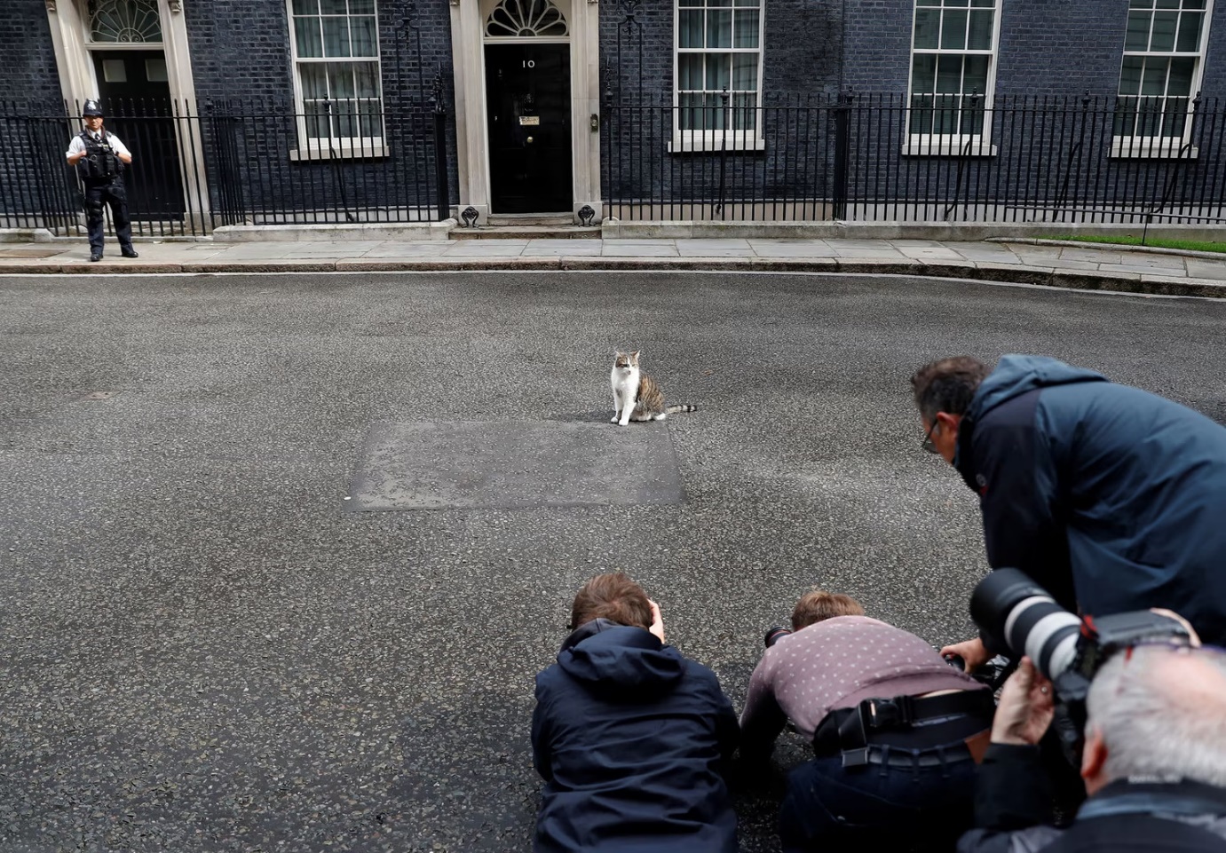 12 năm vương giả của con mèo quyền lực nhất dinh thủ tướng Anh - 9